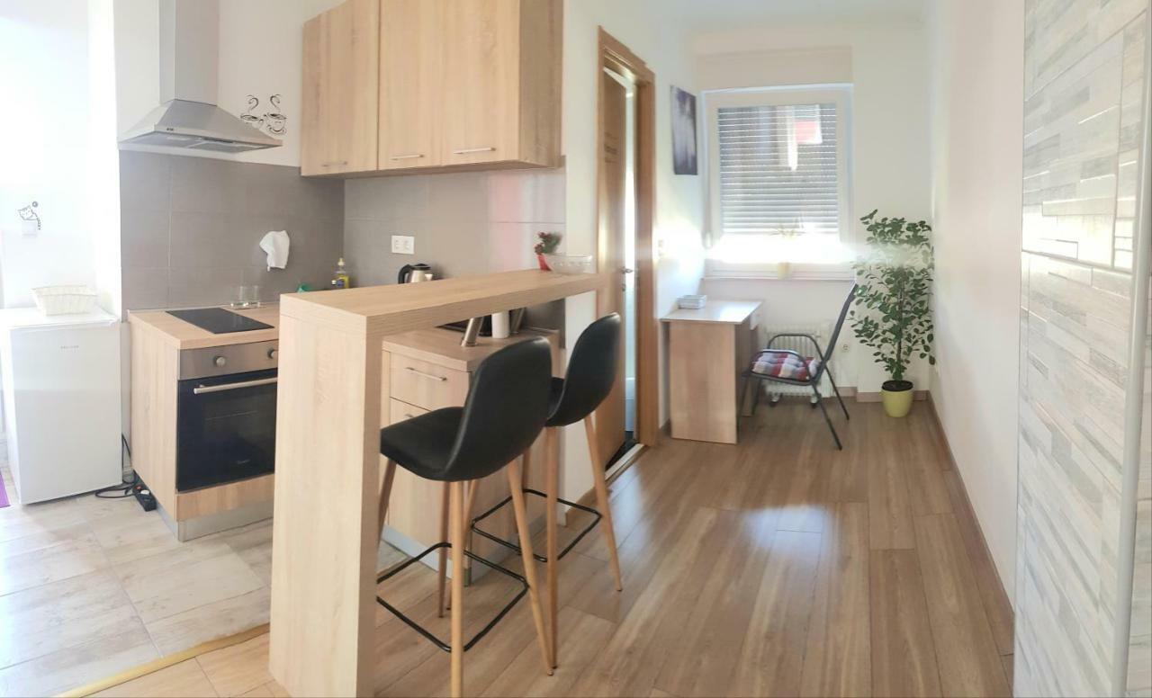 Penthouse Spudic Karlovac Apartment Екстериор снимка